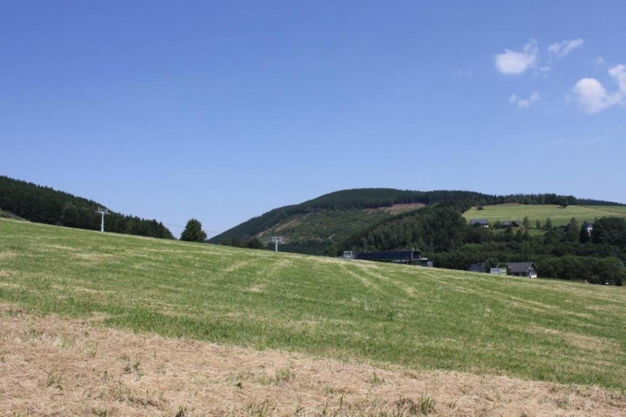 Ferienhaus Easy Holiday Am Ritzhagen Ehem Heinrichs Willingen  Extérieur photo